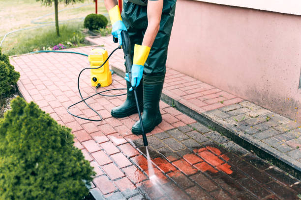 Best Deck Cleaning Services  in Campton Hls, IL