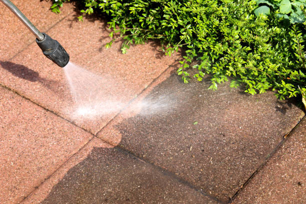  Campton Hls, IL Pressure Washing Pros